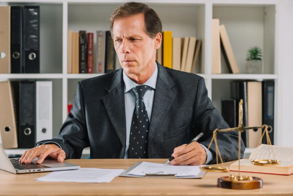 Legal professional researching a judicial review case